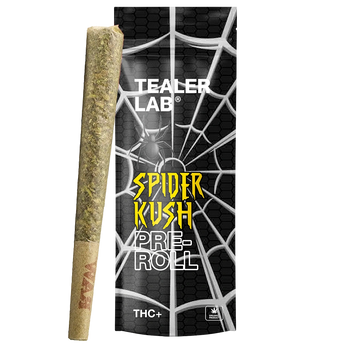 Pack Prerolls spider THC+