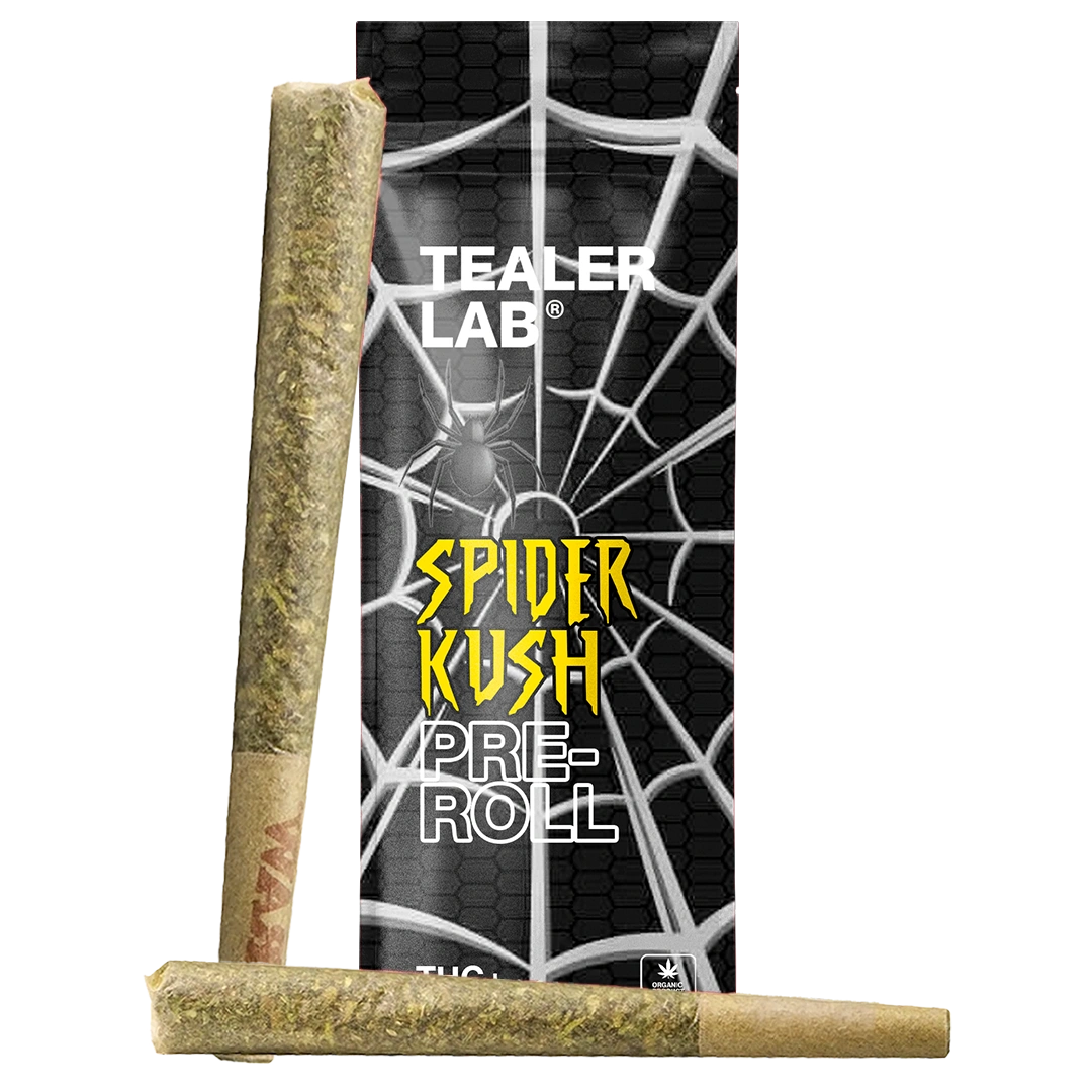 Pack Prerolls spider THC+