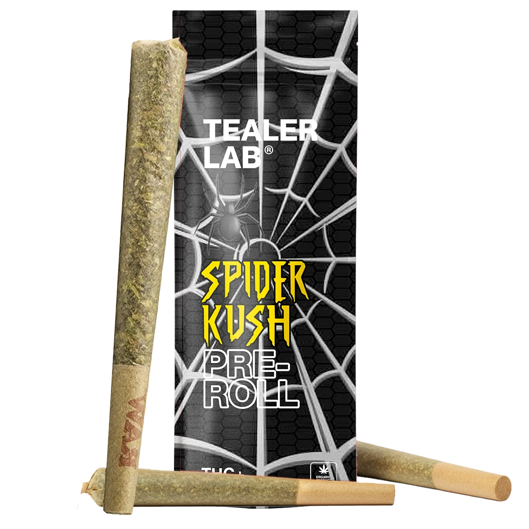 Pack Prerolls spider THC+