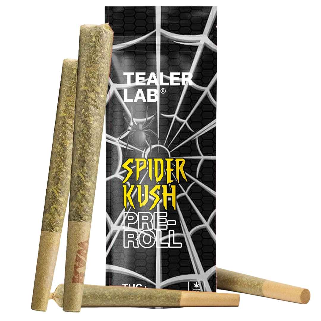 Pack Prerolls spider THC+
