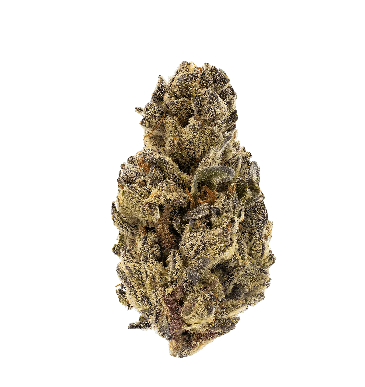 Marj'Haze 26% THCA