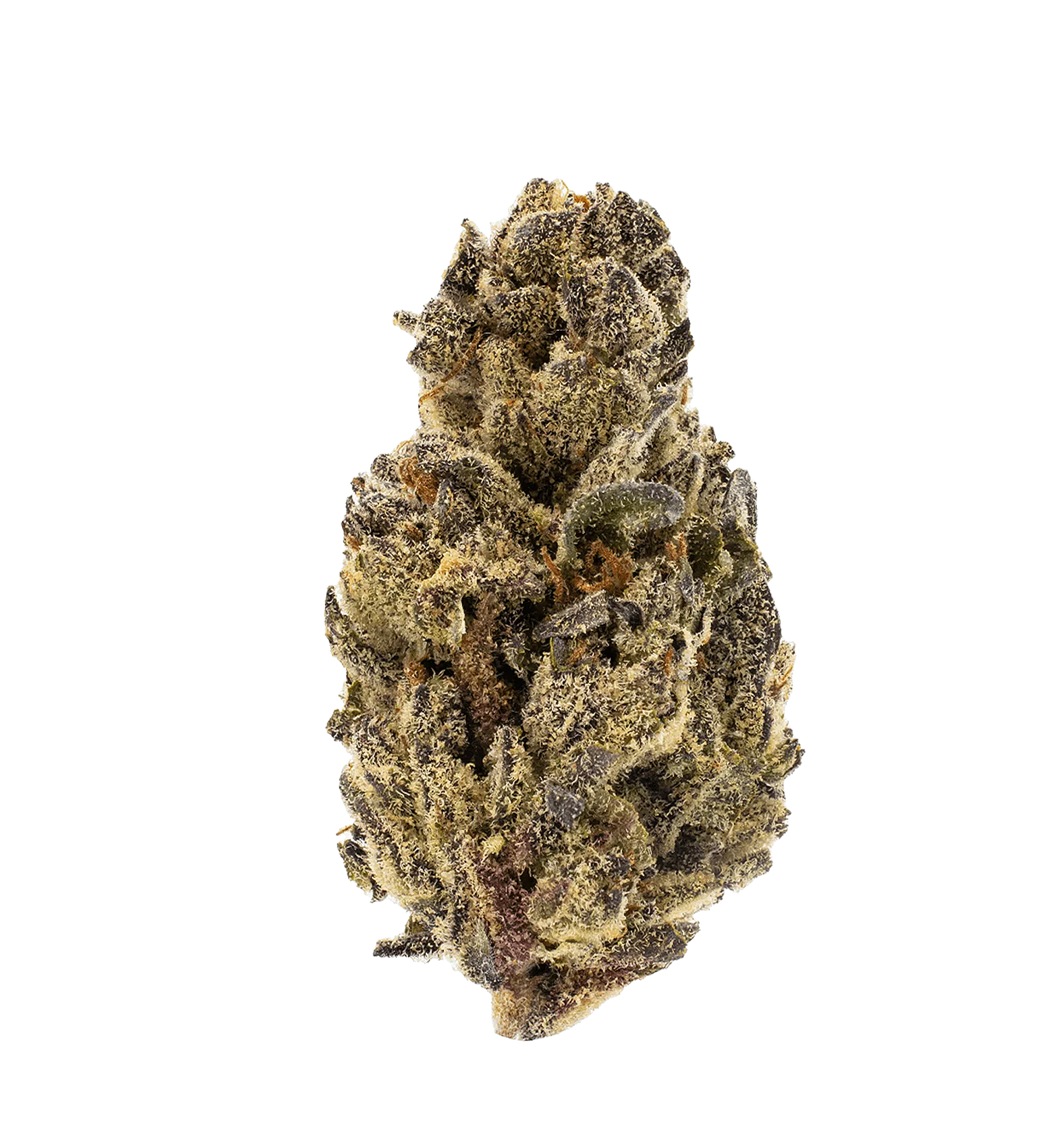 Marj'Haze 26% THCA