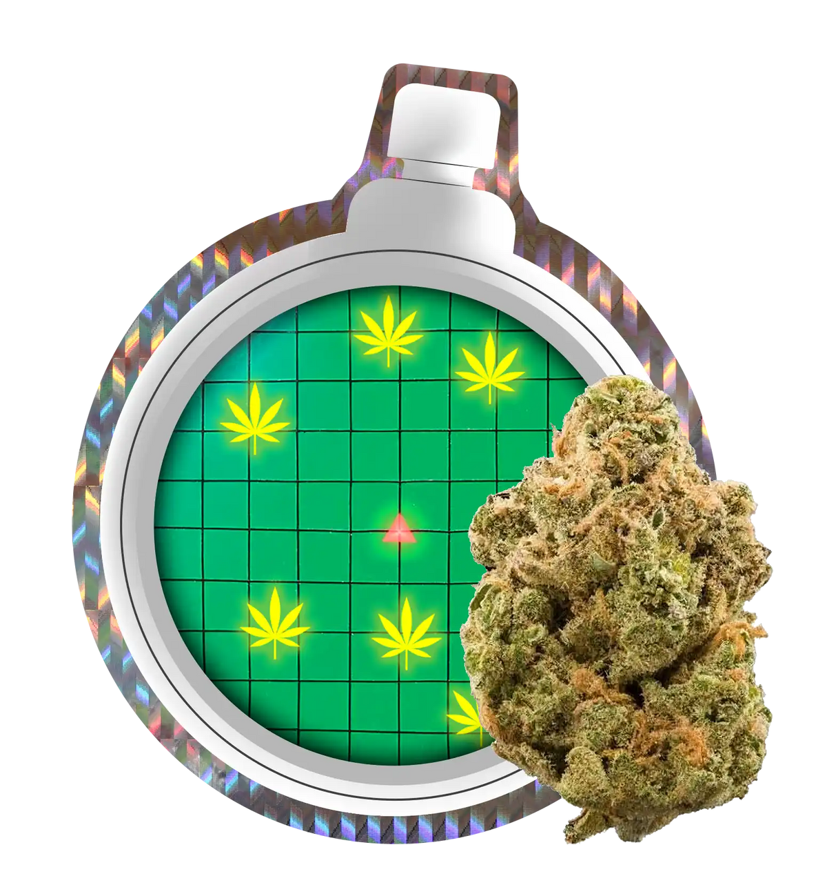 DBZ OG CBX
