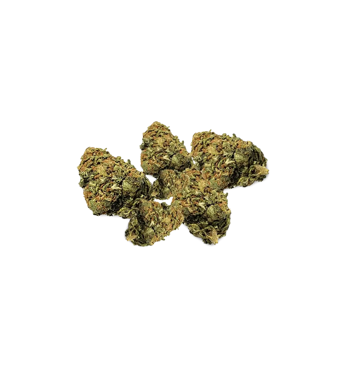 DragiBud THV+