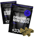 DragiBud THV+