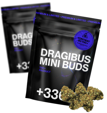 DragiBud THC+