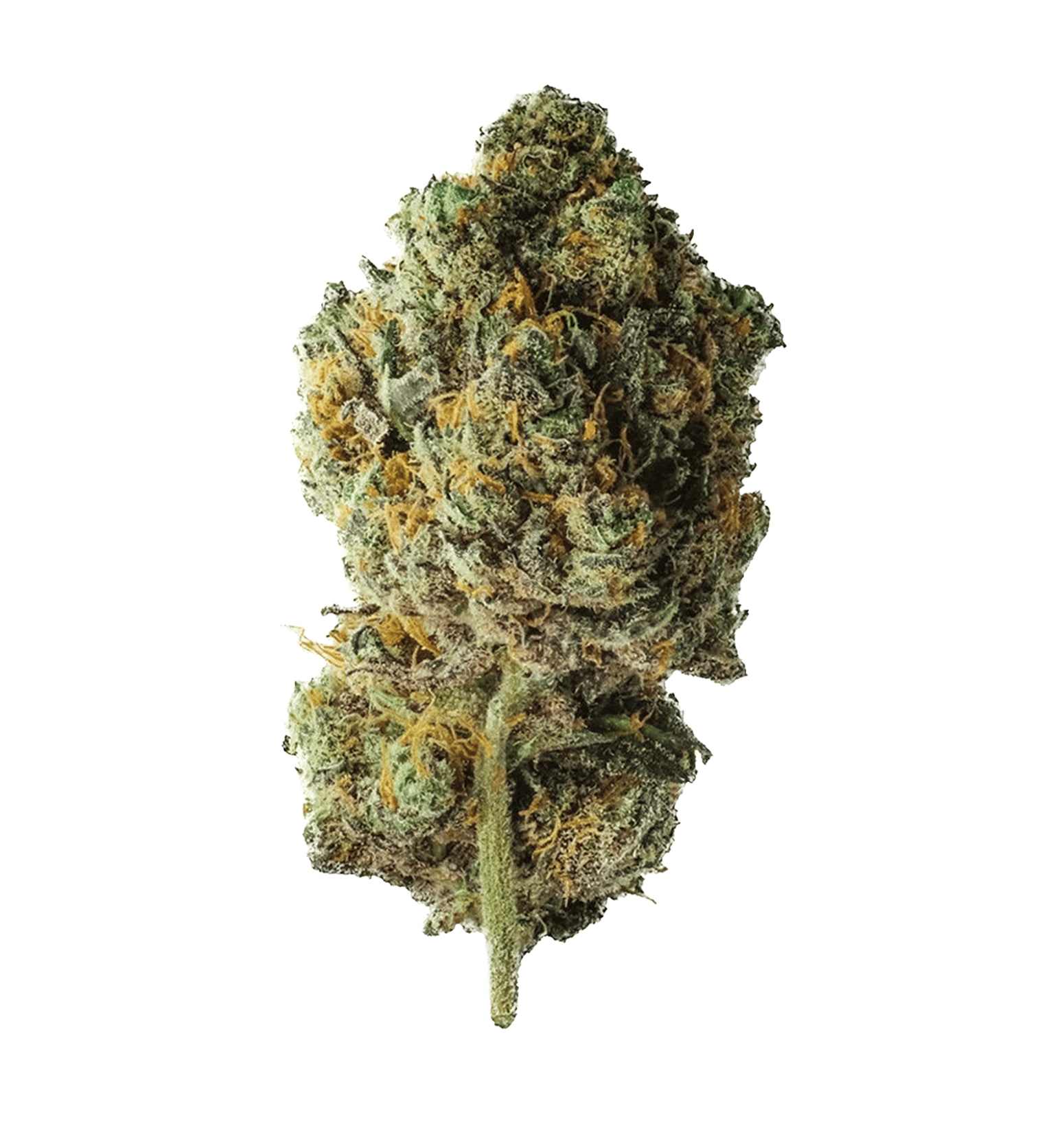 Billy Kimber Kush CBX