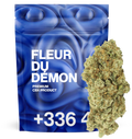 Fleur du démon CBX