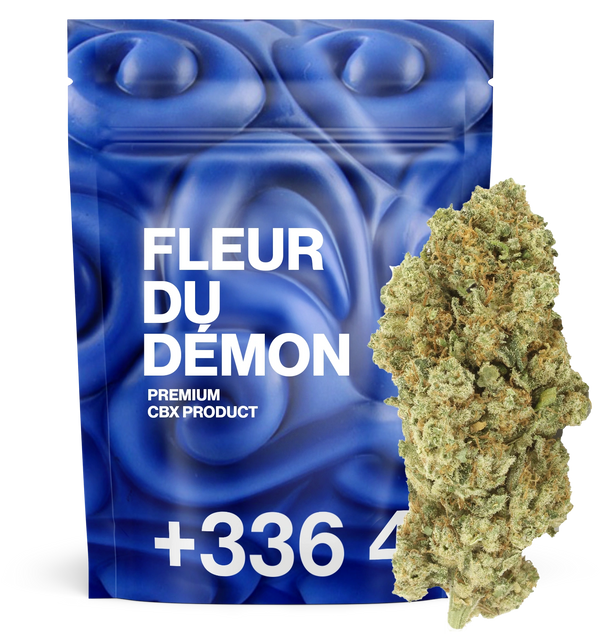 CBX Demon Flower