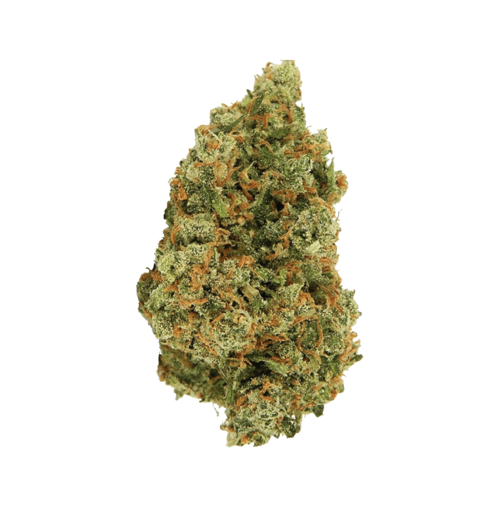 Jack Herrer THC+