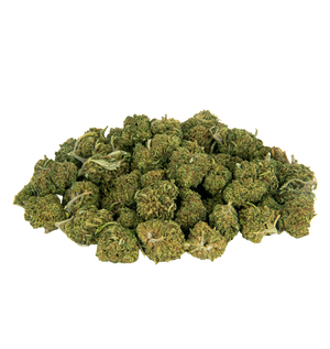Mini Gusher THCA — vue alternative