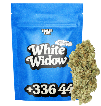 White Widow TH+