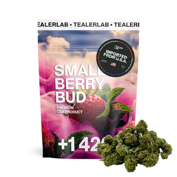 Small Berry CBX
