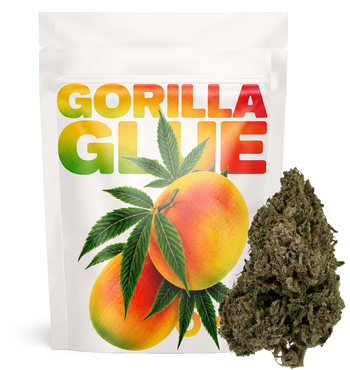 Gorilla Glue 28% NX5