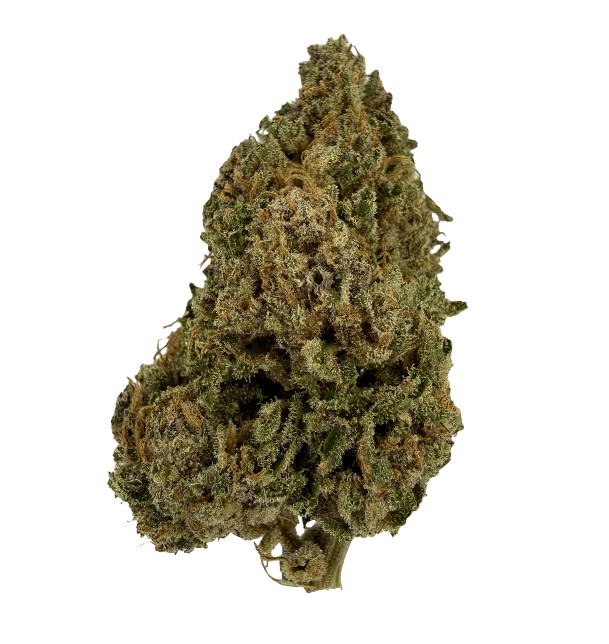 Gorilla Glue 28% NX5