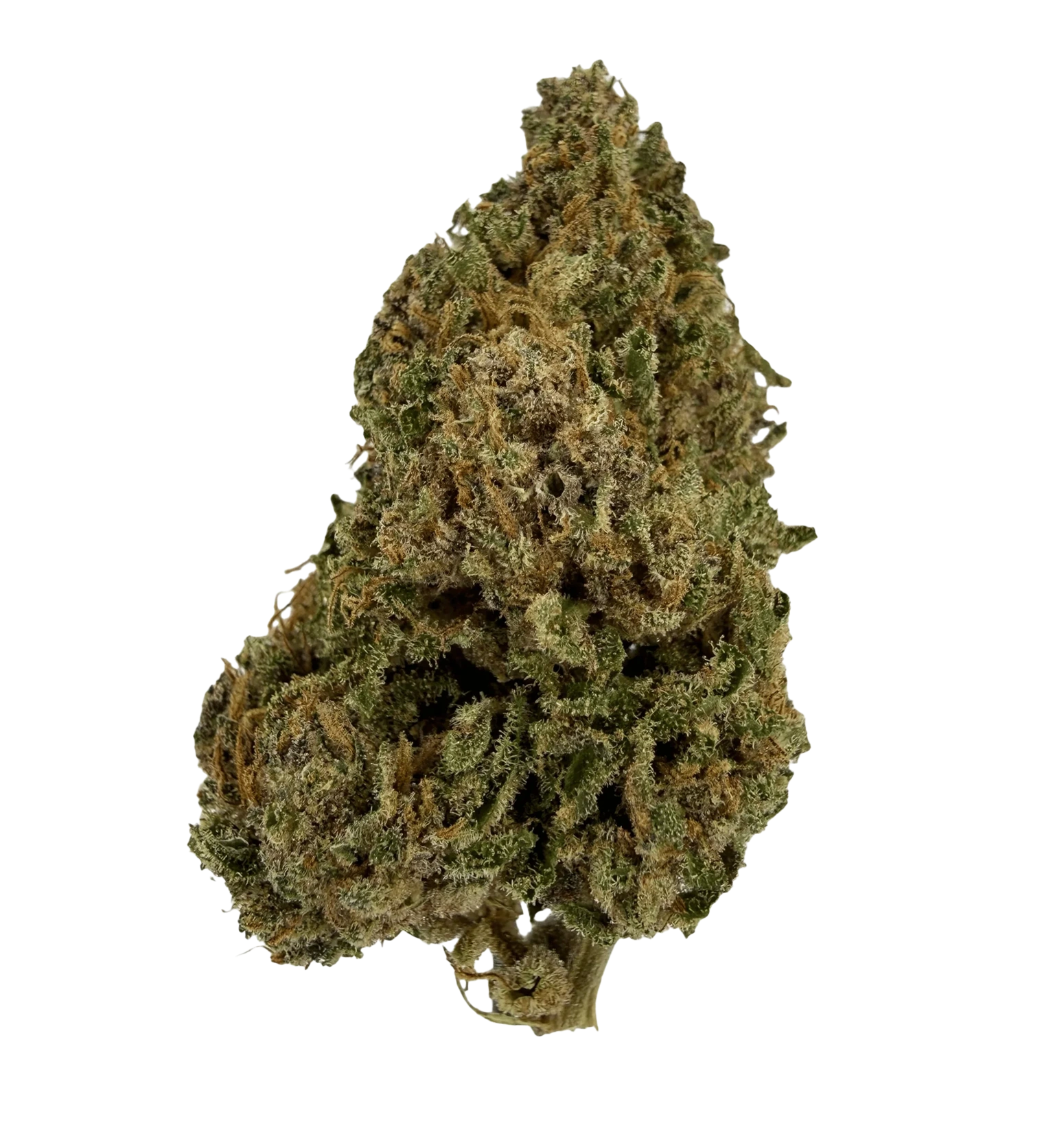 Gorilla Glue 28% NX5