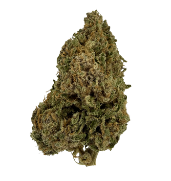 Gorilla Glue 28% NX5