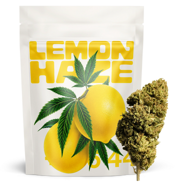 Lemon Haze 24% NX5