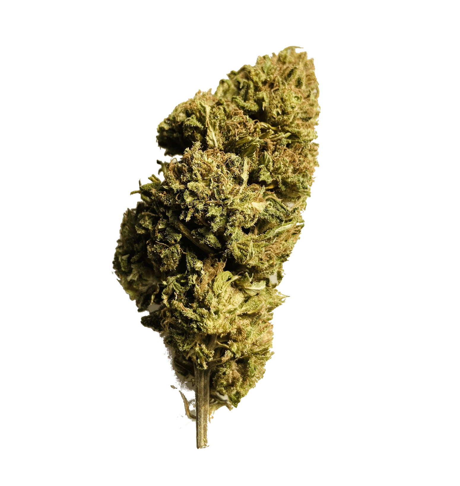 Lemon Haze 24% NX5