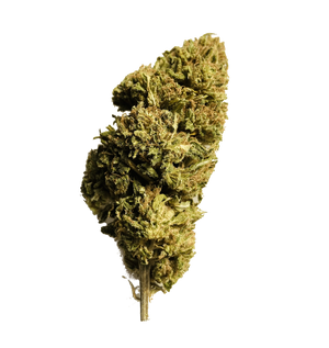 Lemon Haze 24% NX5 — alternate view