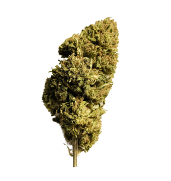 Lemon Haze 24% NX5
