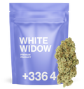 White Widow TH+
