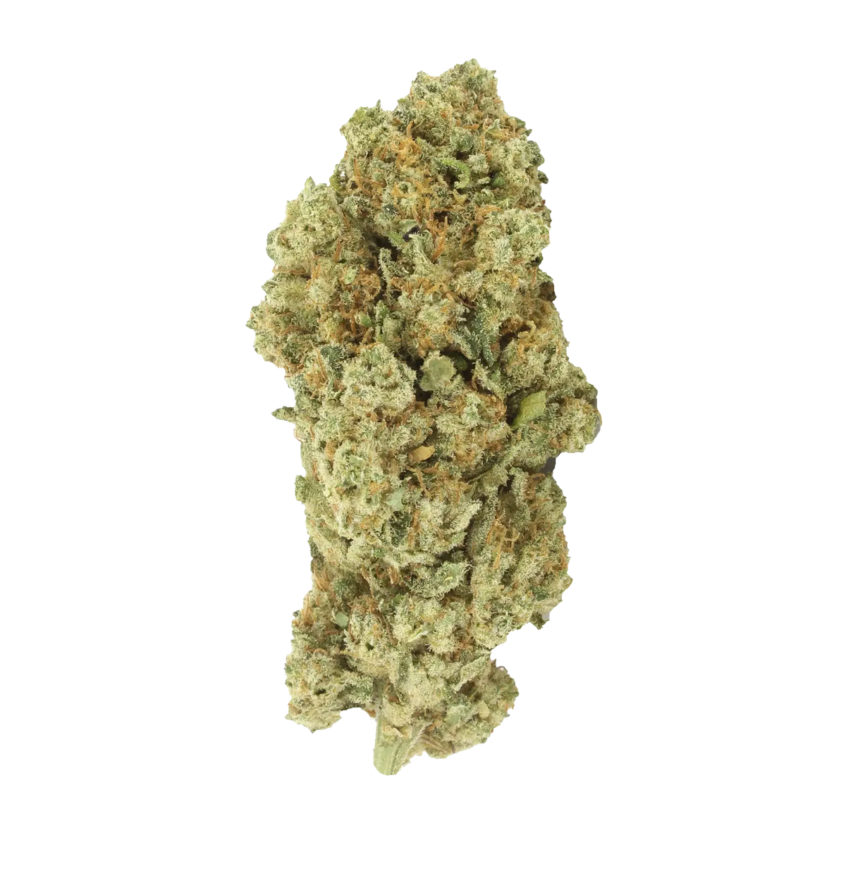 White Widow TH+