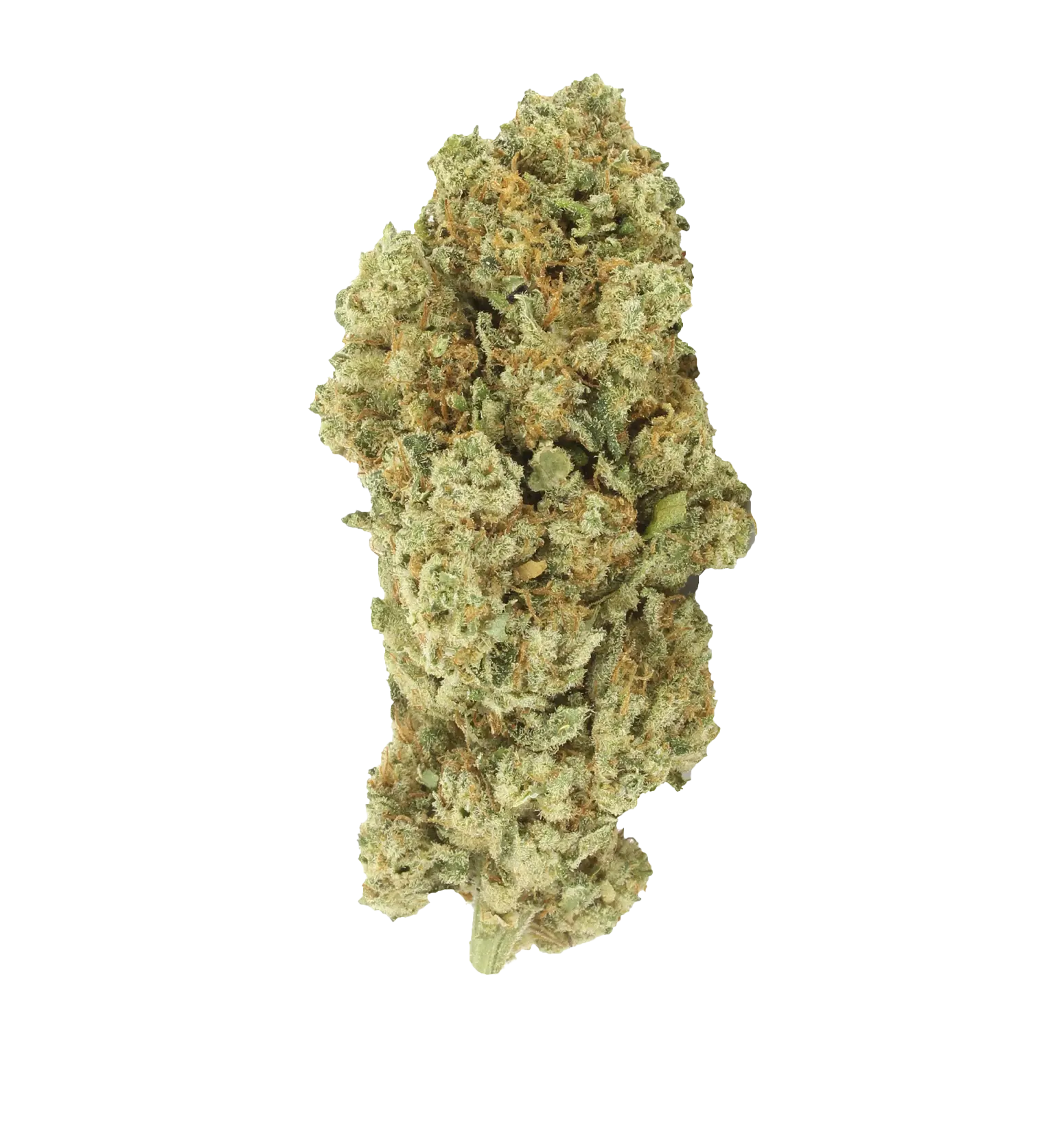 White Widow TH+