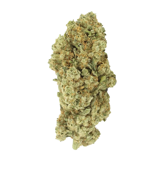 White Widow THV+