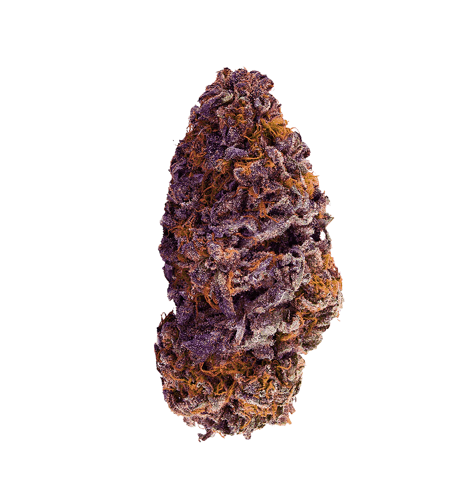Purple Labeubeu 27% THCA