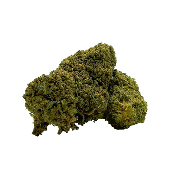 Piccolo Haze CBX